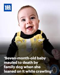 So sad. RIP Elle 💔 Read more: https://trib.al/iSKPEH6