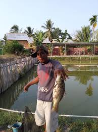 Kolam Pemancingan Jati Jajar Palembang Posts Facebook