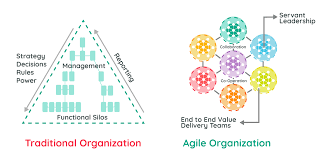 Agile Organization Acm