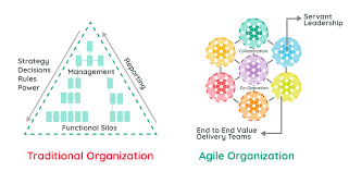 agile organization acm