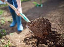Improving your soil takes time. How To Improve Your Soil