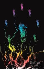 Additive and subtractive mixing of colors, mixing light, mixing paint. Seahorse Family Rainbow Colors Mixed Media By Rachel Hannah