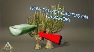 Fat frog's swamp gas gaming: No Longer Working How To Get Cactus In Ragnarok Where To Find Quetzals Ark Survival Evolved 6 By Kingevolved
