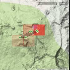 Image result for Pilea sublucens