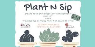 Plant N Sip