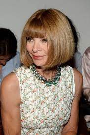 Anna Wintour Print Dress Chin Length Hair Thick Hair Styles Bob Hairstyles For Thick