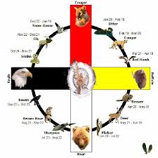 Sundance Animal Medicine Wheel Not A Traditional Native American System Of Astrology But Medicine Wheel Native American Symbols Native American Medicine Wheel
