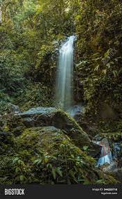 La vida de pedro edgardo. Waterfall Cerro Azul Image Photo Free Trial Bigstock