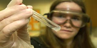 Brevard County school science fair results released