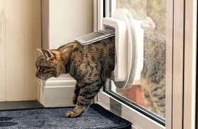 Installing a cat or dog flap in upvc double glazing patio doors is considered as one of the major ways to provide convenience and freedom for our these flaps installed into your glass door make it possible for our dogs and cats to easily go in and out of the house as they please without having to try. Cat Flap Fitter Swanea Coastal Glass And Glazing Services Swansea