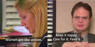 Lantas hal apa yang membuat nama akun twitter @ angela grace twitter. The Office Dwight Angela S Relationship Timeline Season By Season