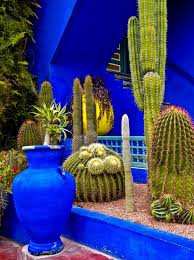 The Majorelle Garden In Marrakech Morocco 8 Mon Conseil Passer Votre Chemin Le Prix Ne Vaut Pas La Visite Jardin Majorelle Jardin Mexicain Jardins