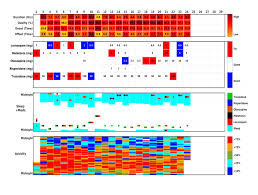 Image result for Actigraphy