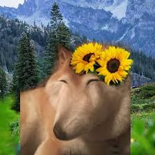 The municipality covers an area of 16.71 square kilometres (6.45 sq mi), and has a population of 381 (as at 28 august 2006). Lisek Fajdusek Lisek Fajdusek Twitter