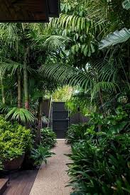 Tropischer Garten Ideen Tipps Und Fotos Inspiration Fur Ihre Tropische Landschaft Fotos Tropical Garden Design Tropical Landscaping Tropical Backyard