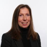 400+ "Verkest" profiles