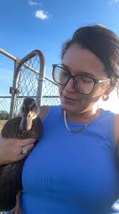 How to determine if my ducks are male or female and if their eggs are  viable?