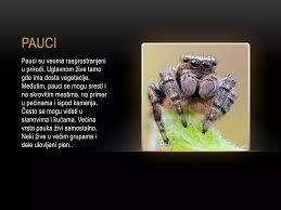 Image result for pokoutnik st job 