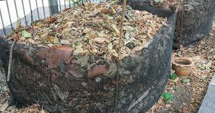 Maybe you would like to learn more about one of these? Storing Leaves For Compost The Best Way To Store Dry Leaves Help Me Compost
