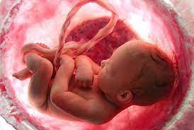 27 Semanas De Embarazo Tu Bebe Tiene Hipo