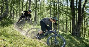 Giant Trance X E Pro 29 E Trailbike Bringt Neues Rahmendesign Und Modernste Motortechnik In 2020 Motor Design Pedelec