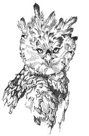 You can print or color them online at getdrawings.com for absolutely free. Harpy Eagle Coloring Pages Coloring Sun