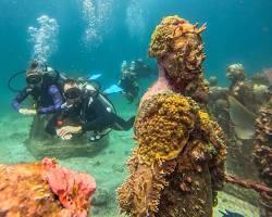 Go Snorkeling and Diving, Mexico