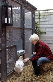 Here are several diy plans for a duck house or duck coop, along with some important things to consider when building one. Winterize A Chicken Coop 6 Easy Steps To Keeping Your Chickens Warm
