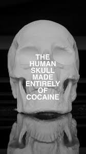 Ecce Animal' (2004) by Diddo @diddo.art ❄️💀 “Once we were animals