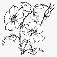 Printable flower coloring pages, coloring sheets and pictures for kids, children. Rose Coloring Pages Cartoon Rose Flower Transparent Background Hd Png Download Transparent Png Image Pngitem