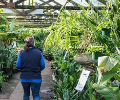 We did not find results for: Plant Nursery Geelong Wombat Gully Plant Farm