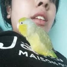 Bish you ain't no Barbie Bish you work at Arby's! Y'all remember her? 🤣