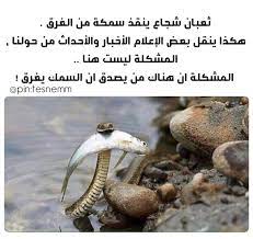 pin on م ـن ـو عـة
