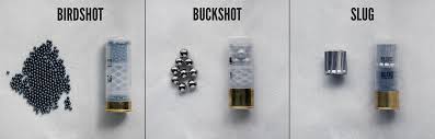 Birdshot vs buckshot vs slug against meat. How To Use A Pump Action Shotgun Lucky Gunner Lounge