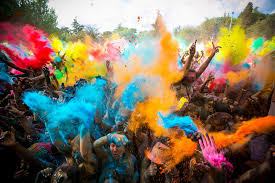 Image result for happy holi