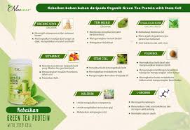 Susu dalam latte teh hijau memberikan kalsium, vitamin d dan protein yang sehat. Nuewee Organic Green Tea Protein With Stem Cell 450g Borneo Kaki