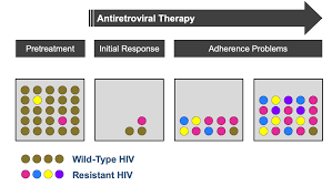 Image result for Multidrug Resistance Score