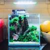 Browse aquariums and fish bowls in different sizes and styles for your pet. Https Encrypted Tbn0 Gstatic Com Images Q Tbn And9gcqhwopkrzzgoa7k2tnyxmuzvsofvmhjwk6hkbmlrwzdt3zbbgrv Usqp Cau
