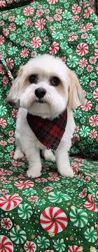 Grooming by Tarren added a new photo.