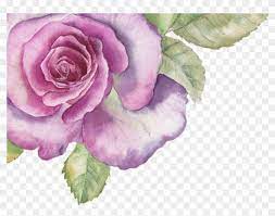 34+ purple flower png images for your graphic design, presentations, web design and other projects. Ftestickers Border Corner Flower Rose Purple Pink And Purple Watercolour Flowers Png Clipart 3349994 Pikpng