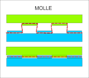 MOLLE — что это, зачем и как использовать