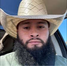 What are fish biting