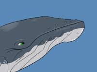 See a recent post on tumblr from @supersquiddle about furaffinity. Sperm Whale Maw C By Imperatorcaesar By Darthardios Fur Affinity Dot Net