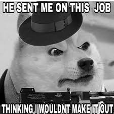 78 doge space wallpapers on wallpaperplay. Doge