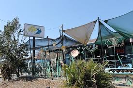 World soul seafood fusion in now that's a good sandwich krazy fish has an eclectic menu ranging from southern comfort flavors to seafood. Funky Seafood Joint Keeps It Moving Through Thick And Thin Food Drink Features Creative Loafing Charlotte