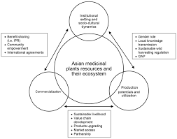 This approach implements callbacks for jpa lifecycle events. Sustainability Free Full Text Asian Medicinal Plants Production And Utilization Potentials A Review Html