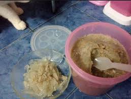 Perlu diingat bahwa kucing adalah binatang karnivora obligat, ini berarti anda membutuhkan makanan baca juga : Cara Membuat Makanan Kucing