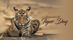 The someday or one day original tv soundtrack (ost) (想見你 電視原聲帶) was released on may 6, 2020 by various artists, and was published by rock records. Enbuqwiixycofm