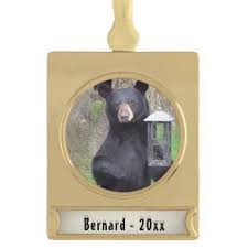 Black Bear Stuffed Animal Names Black Bear Name And Year Gold Plated Banner Ornament Zazzle Com Bear Names Pet Gifts Black Bear