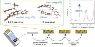 When it comes to metabolism and clearance of ecstasy (mdma) liver/kidney function: Electrochemical Sensing Of Ecstasy With Electropolymerized Molecularly Imprinted Poly O Phenylenediamine Polymer On The Surface Of Disposable Screen Printed Carbon Electrodes Sciencedirect